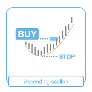 ascending-scallop