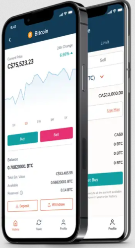 Bitbuy on Mobile Devices - The App